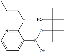 2-丙氧基-3-硼酸 频哪酯,1073371-87-5,结构式