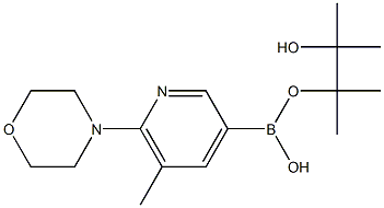 5-METHYL-6-MORPHOLINOPYRIDINE-3-BORONIC ACID PINACOL ESTER Structure