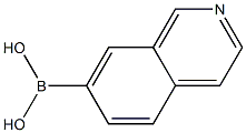 7-(4,4,5,5-tetraMethyl-1,3,2-dioxaborolan-2-yl)isoquinoline Structure