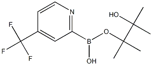 1096689-46-1 2-(4,4,5,5-四甲基-1,3,2-二噁硼烷-2-基)-4-(三氟甲基)吡啶