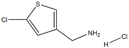 1108712-55-5 (5-氯噻吩-3-基)甲胺盐酸盐