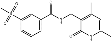 BenzaMide, N-[(1,2-dihydro-4,6-diMethyl-2-oxo-3-pyridinyl)Methyl]-3-(Methylsulfonyl)-|BENZAMIDE, N-[(1,2-DIHYDRO-4,6-DIMETHYL-2-OXO-3-PYRIDINYL)METHYL]-3-(METHYLSULFONYL)-