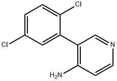 3-(2,5-dichlorophenyl)pyridin-4-aMine Struktur