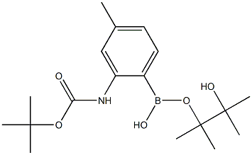 2-(tert-Butoxycarbonylamino)-4-methylphenylboronic acid, pinacol ester Structure