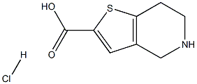 4,5,6,7-テトラヒドロチエノ[3,2-C]ピリジン-2-カルボン酸塩酸塩 化学構造式