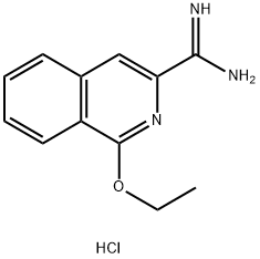 1-Ethoxyisoquinoline-3-carboxiMidaMide hydrochloride Struktur