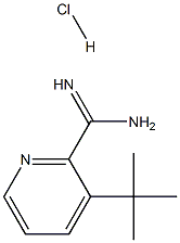 3-(叔丁基)吡啶脒盐酸盐, 1179362-57-2, 结构式