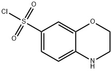 3,4-dihydro-2H-1,4-benzoxazine-7-sulfonyl chloride Struktur