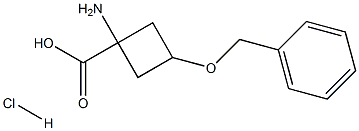 1-AMino-3-(benzyloxy)cyclobutanecarboxylic acid hydrochloride Struktur