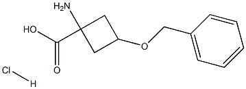 1-AMino-3-(benzyloxy)cyclobutanecarboxylic acid hydrochloride|1-氨基-3-(苄氧基)环丁烷羧酸盐酸盐