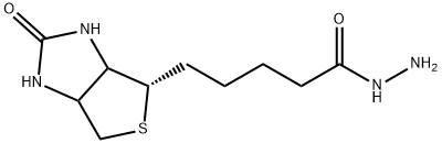 5-((4S)-2-oxohexahydro-1H-thieno[3,4-d]iMidazol-4-yl)pentanehydrazide 化学構造式