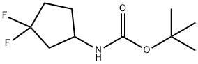 tert-Butyl (3,3-difluorocyclopentyl)carbaMate Structure