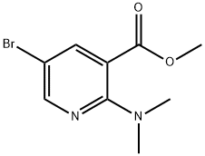 5-溴-2-(二甲氨基)烟酸甲酯 结构式