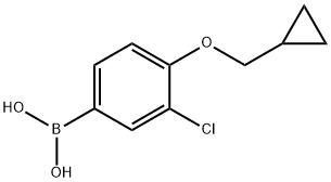3-Chloro-4-(cyclopropylMethoxy)phenylboronic acid, 1228181-35-8, 结构式