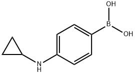 4-(cyclopropylaMino)phenylboronic acid|4-(环丙基氨基)苯基硼酸