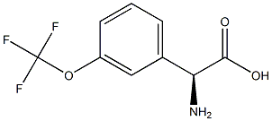 2-(3-(TrifluoroMethoxy)-phenyl)-(R)-glycine Struktur