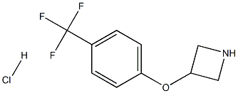 3-[4-(TrifluoroMethyl)phenoxy]azetidine HCl|3-(4-三氟甲基苯氧基)吖啶盐酸盐