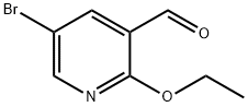 5-BroMo-2-ethoxynicotinaldehyde|5-溴-2-乙氧基烟醛