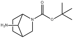 2-Boc-7-aMino-2-Azabicyclo[2.2.1]heptane Struktur