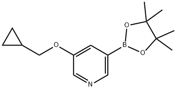 3-(环丙基甲氧基)-5-(4,4,5,5-四甲基-1,3,2-二氧杂环戊硼烷-2-基)吡啶,1257553-87-9,结构式