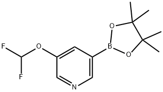 3-(difluoroMethoxy)-5-(4,4,5,5-tetraMethyl-1,3,2-dioxaborolan-2-yl)pyridine|3-(difluoroMethoxy)-5-(4,4,5,5-tetraMethyl-1,3,2-dioxaborolan-2-yl)pyridine