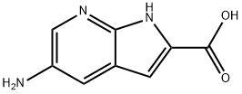 5-AMino-7-azaindole-2-carboxylic acid|5-氨基-1H-吡咯并[2,3-B]吡啶-2-甲酸