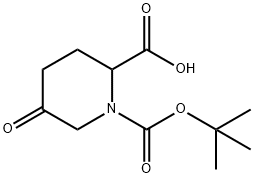 1,2-Piperidinedicarboxylic acid, 5-oxo-, 1-(1,1-diMethylethyl) ester Structure