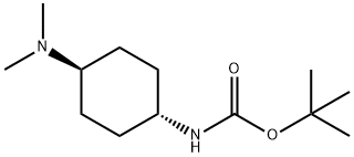 TERT-ブチル (1R*,4R*)-4-(ジメチルアミノ)シクロヘキシルカルバメート 化学構造式