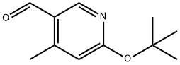 6-(叔丁氧基)-4-甲基烟醛,1289148-87-3,结构式