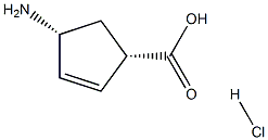 (1S,4R)-4-氨基环戊-2-烯羧酸盐酸盐 结构式