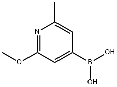 2-Methoxy-6-Methylpyridin-4-ylboronic acid Structure