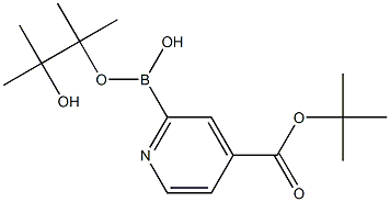 2-(4,4,5,5-四甲基-1,3,2-二氧硼烷-2-基)异烟酸叔丁酯,1310385-01-3,结构式