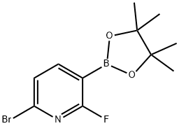 6-BroMo-2-fluoropyridine-3-boronic acid pinacol ester 化学構造式
