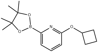 2-环丁氧基-6-(4,4,5,5-四甲基-1,3,2-二氧杂硼杂环戊烷-2-基)吡啶, 1310404-15-9, 结构式