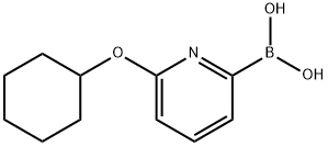 6-(CYCLOHEXYLOXY)PYRIDINE-2-BORONIC ACID,1310404-16-0,结构式
