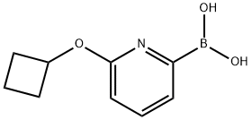 6-(CYCLOBUTOXY)PYRIDINE-2-BORONIC ACID 结构式