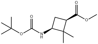 Methyl cis-3-(Boc-aMino)-2,2-diMethylcyclobutanecarboxylate Structure