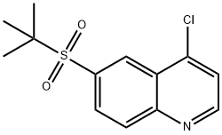 4-chloro-6-[(1,1-diMethylethyl)sulfonyl]quinoline 化学構造式