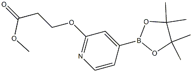 methyl 3-(4-(4,4,5,5-tetramethyl-1,3,2-dioxaborolan-2-yl)pyridin-2-yloxy)propanoate Structure