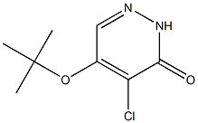 5-tert-butoxy-4-chloropyridazin-3(2H)-one Structure