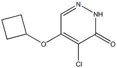 4-chloro-5-cyclobutoxypyridazin-3(2H)-one Struktur