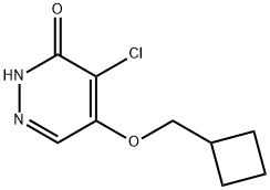 4-chloro-5-(cyclobutylmethoxy)pyridazin-3(2H)-one Struktur