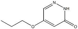 5-propoxypyridazin-3(2H)-one Structure