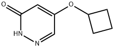 5-cyclobutoxypyridazin-3(2H)-one|5-环丁氧基哒嗪-3(2H)-酮