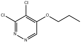 3,4-dichloro-5-propoxypyridazine Structure