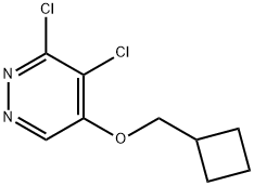 3,4-dichloro-5-(cyclobutylmethoxy)pyridazine Structure