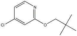 4-chloro-2-(neopentyloxy)pyridine Structure