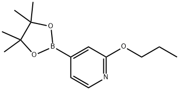 2-Propoxy-4-(4,4,5,5-tetraMethyl-1,3,2-dioxaborolan-2-yl)pyridine Struktur