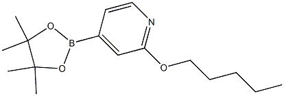 2-(戊氧基)-4-(4,4,5,5-四甲基-1,3,2-二氧硼烷-2-基)吡啶,1346707-89-8,结构式