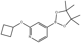 2-cyclobutoxy-4-(4,4,5,5-tetramethyl-1,3,2-dioxaborolan-2-yl)pyridine Structure